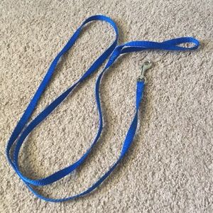 Blue leash